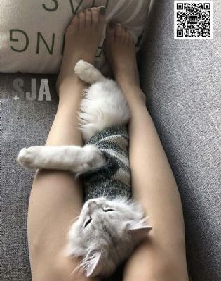 大官小官电影免费观看完整版高清