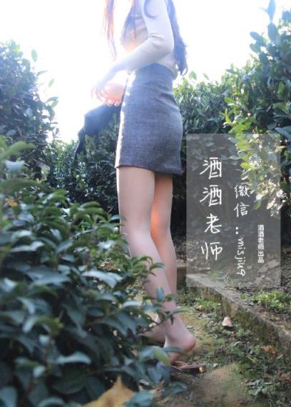 巡回检察组电视剧免费观看