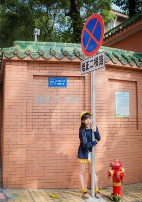 他是谁24集免费看