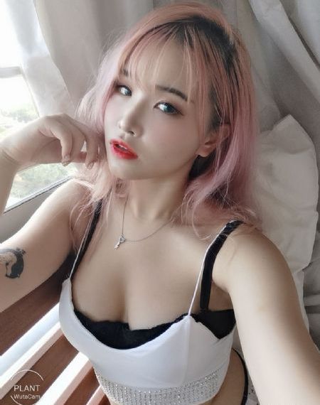 高级家庭教师