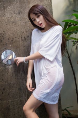 施公奇案 电视剧