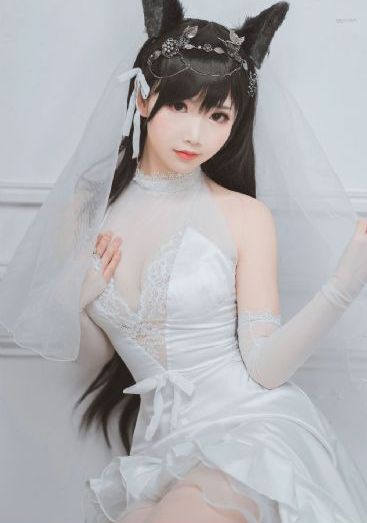 浮图缘电视剧全集免费播放高清