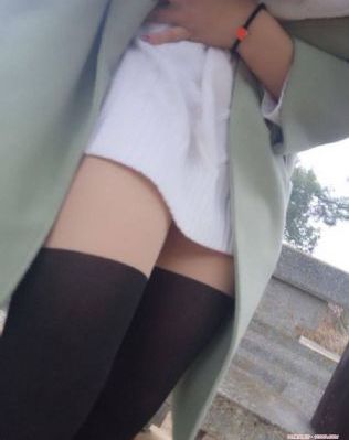 金装维尔梅
