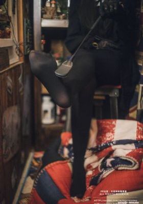 假如历史是一群喵全集