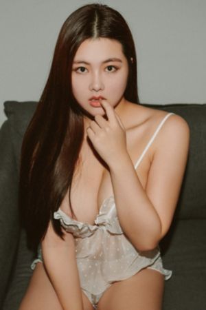 代号电视剧在线观看免费完整版