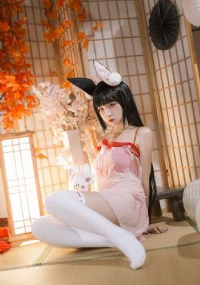 免费理论片