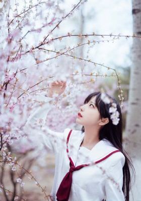 射鸡英雄传
