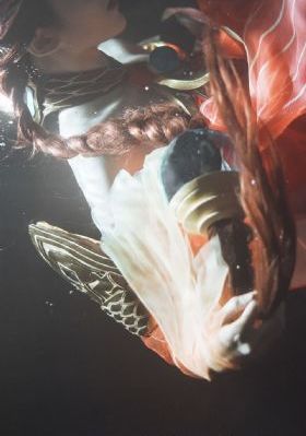 蔷薇风暴电视剧全集免费播放高清